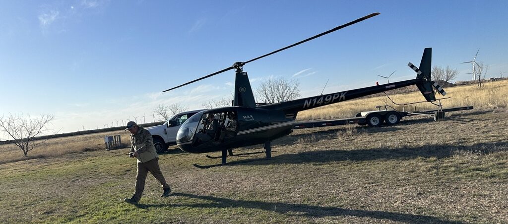 a thrilling aerial view captures a sleek helicopter soaring above expansive texas landscapes, with the focus on a rugged terrain dotted with wild boar, highlighting the intensity and strategy of aerial hog hunting under state regulations.